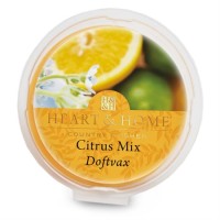 Citrus Crush Scent Wax